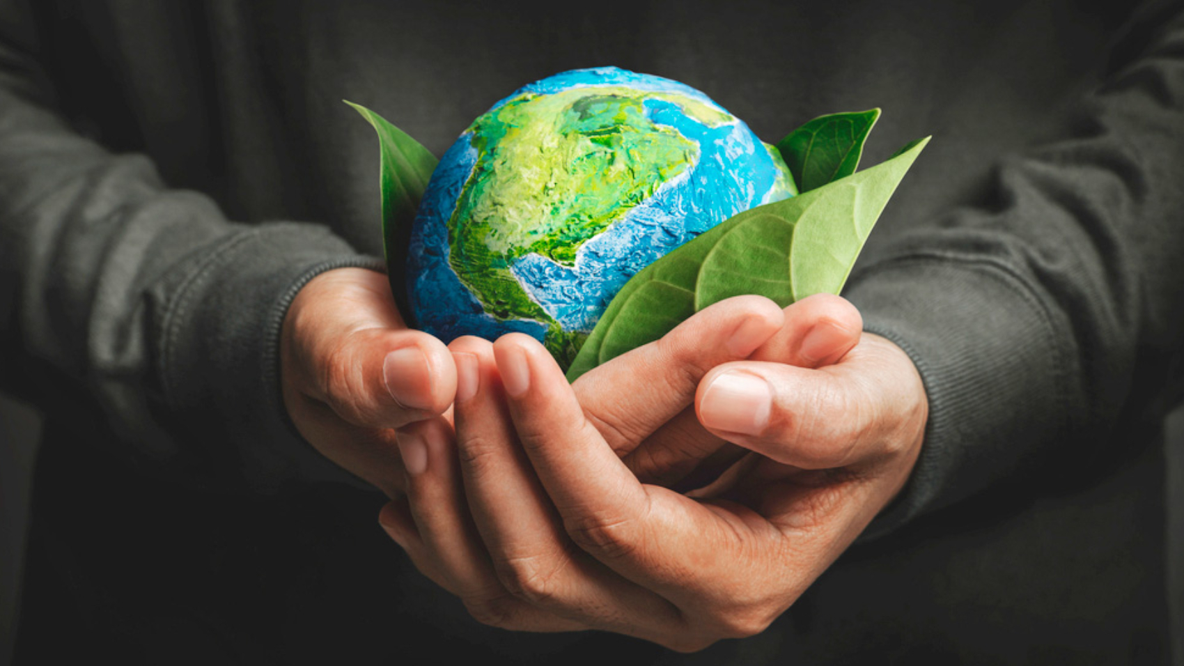 Observatório do Brasil - Meio Ambiente