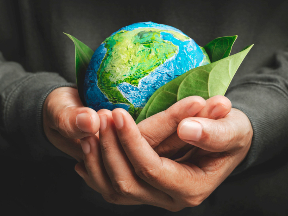 Observatório do Brasil - Meio Ambiente